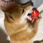 ヒメ日記 2025/12/07 09:55 投稿 あや 吉原ファーストレディ