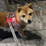 ヒメ日記 2025/12/08 06:34 投稿 あや 吉原ファーストレディ