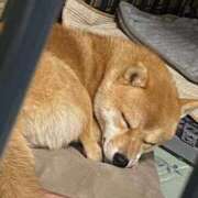 あや 復活‼️ 吉原ファーストレディ