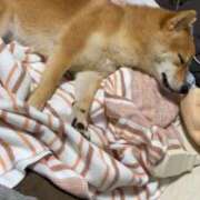 ヒメ日記 2025/12/10 18:18 投稿 あや 吉原ファーストレディ