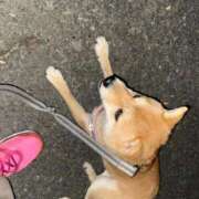 ヒメ日記 2025/12/31 05:29 投稿 あや 吉原ファーストレディ