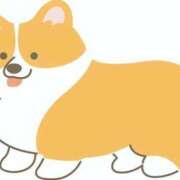 ヒメ日記 2025/05/13 10:26 投稿 らん 吉原ファーストレディ