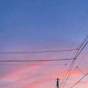 ヒメ日記 2024/12/20 17:47 投稿 のあ アラカルト