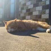 ヒメ日記 2024/12/31 08:07 投稿 のあ アラカルト