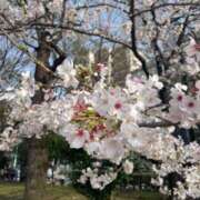 ヒメ日記 2025/04/02 20:29 投稿 のあ アラカルト