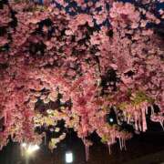 ヒメ日記 2025/03/14 07:46 投稿 あむ 吉原ファーストレディ