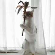 ヒメ日記 2025/06/25 13:29 投稿 あむ 吉原ファーストレディ