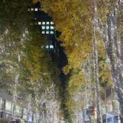 あむ 🍁 吉原ファーストレディ