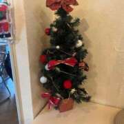 ヒメ日記 2025/12/15 08:44 投稿 あむ 吉原ファーストレディ