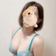 ヒメ日記 2025/04/13 01:05 投稿 あすな 甲府人妻城