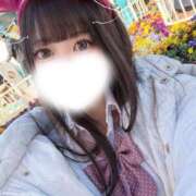 ヒメ日記 2026/04/11 12:05 投稿 シオン バニーコレクション秋田店