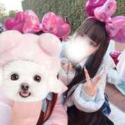 ヒメ日記 2026/04/12 12:04 投稿 シオン バニーコレクション秋田店