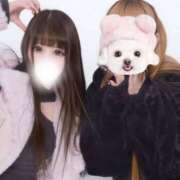 ヒメ日記 2026/04/20 15:00 投稿 シオン バニーコレクション秋田店