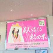 ヒメ日記 2026/09/17 17:03 投稿 シオン バニーコレクション秋田店