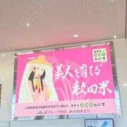 ヒメ日記 2026/09/17 17:12 投稿 シオン バニーコレクション秋田店