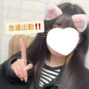 ヒメ日記 2025/03/16 15:29 投稿 まゆ チェックイン素人専門大人女子