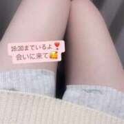 ヒメ日記 2025/04/05 13:49 投稿 まゆ チェックイン素人専門大人女子