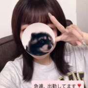 ヒメ日記 2025/06/24 19:29 投稿 まゆ チェックイン素人専門大人女子