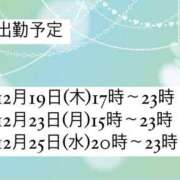 ヒメ日記 2024/12/15 21:25 投稿 ふう 横浜シンデレラ（シンデレラグループ）