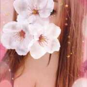 ヒメ日記 2026/02/20 19:36 投稿 えりか モアグループ神栖人妻花壇