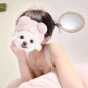 ヒメ日記 2025/04/18 20:22 投稿 せら お姉京都