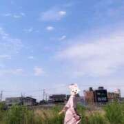 ヒメ日記 2025/05/24 18:22 投稿 せら お姉京都