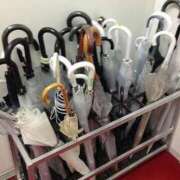 ヒメ日記 2025/06/11 10:52 投稿 せら お姉京都