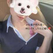 ヒメ日記 2025/07/18 18:05 投稿 せら お姉京都