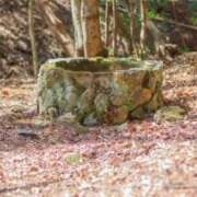 ヒメ日記 2025/09/21 07:42 投稿 せら お姉京都