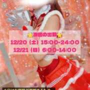 ヒメ日記 2025/12/19 12:42 投稿 せら お姉京都