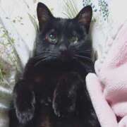 ヒメ日記 2025/01/03 23:05 投稿 みやび 奥様電車