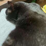 ヒメ日記 2025/02/11 17:02 投稿 みやび 奥様電車