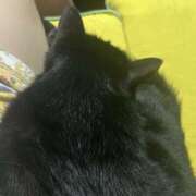 ヒメ日記 2025/09/02 22:45 投稿 みやび 奥様電車