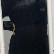 ヒメ日記 2025/08/25 20:18 投稿 ひかり バカンス学園　谷九校