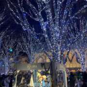 ヒメ日記 2024/12/22 11:30 投稿 こなつ チェックイン横浜女学園