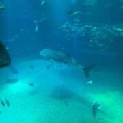 ヒメ日記 2025/02/22 13:06 投稿 こなつ チェックイン横浜女学園