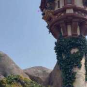 ヒメ日記 2025/04/03 12:54 投稿 こなつ チェックイン横浜女学園