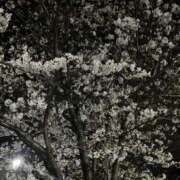 ヒメ日記 2025/04/05 14:52 投稿 こなつ チェックイン横浜女学園