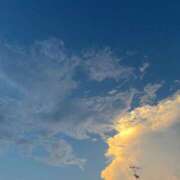 ヒメ日記 2025/09/09 10:03 投稿 こなつ チェックイン横浜女学園