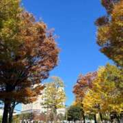 ヒメ日記 2025/11/23 11:11 投稿 こなつ チェックイン横浜女学園