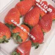 ヒメ日記 2025/01/20 20:30 投稿 堀宮 のん アリス女学院 日本橋校