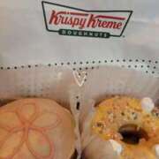 ヒメ日記 2025/03/14 19:20 投稿 堀宮 のん アリス女学院 日本橋校