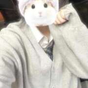 ヒメ日記 2025/03/27 14:23 投稿 堀宮 のん アリス女学院 日本橋校