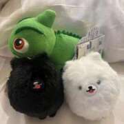 ヒメ日記 2025/12/11 19:34 投稿 堀宮 のん アリス女学院 日本橋校