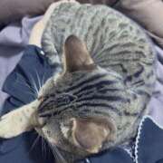 ヒメ日記 2025/05/19 12:51 投稿 りりむ 今から乳首を犯しにいってもいいですか？大阪店