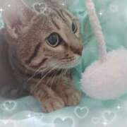 ヒメ日記 2025/08/01 16:21 投稿 りりむ 今から乳首を犯しにいってもいいですか？大阪店