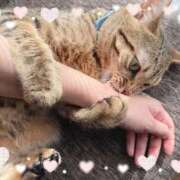 ヒメ日記 2025/08/24 16:31 投稿 りりむ 今から乳首を犯しにいってもいいですか？大阪店