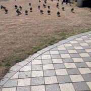 ヒメ日記 2025/02/09 23:32 投稿 りん Charme（シャルム）