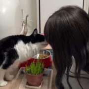 ヒメ日記 2025/03/02 23:53 投稿 りん Charme（シャルム）