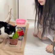 ヒメ日記 2025/03/03 20:25 投稿 りん Charme（シャルム）